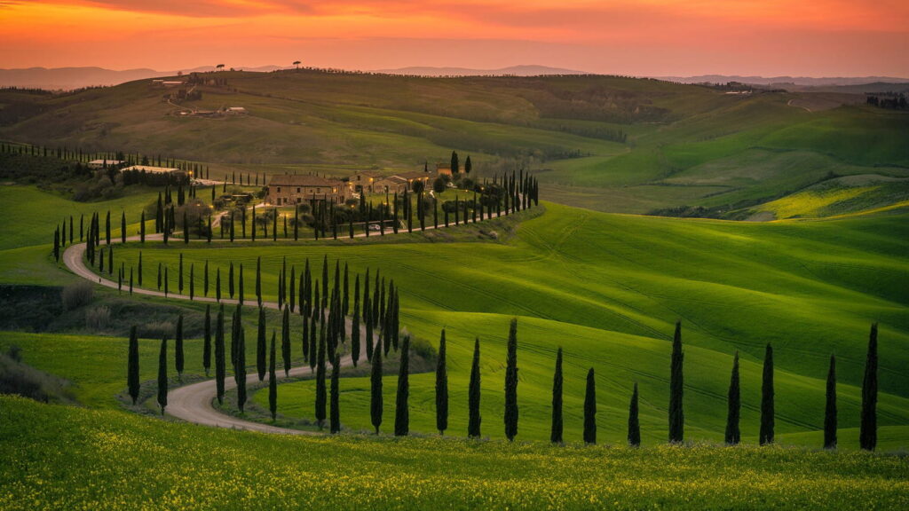 Winding country road lined with iconic Italian cypress trees winding through lush green rolling hills in Chianti under a fiery sunset sky with Baroque Bacchus