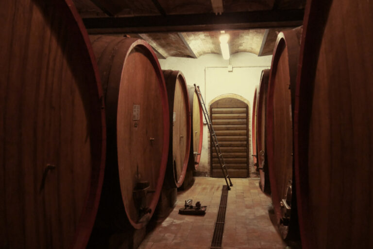 Traditional Tuscan wine cellar lined with large wooden oak barrels for aging wine during a private cellar tour with Baroque Bacchus